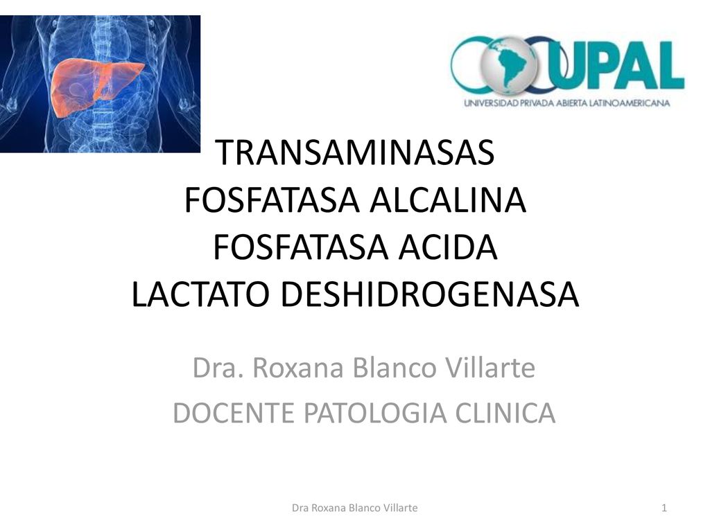 aumento de transaminasas y ldh aumento de transaminasas y ldh